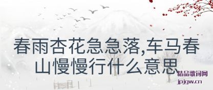 ������ӻ�������,������ɽ������ʲô��˼