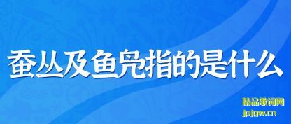 �Ƽ��ϴԼ�����ָ����ʲô