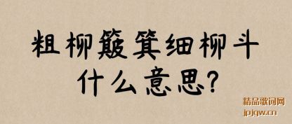 �ܽ��������ϸ����ʲô��˼?