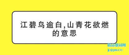 �������������,ɽ�໨��ȼ����˼