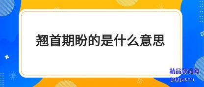 �����������ε���ʲô��˼