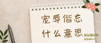 ������������ʲô��˼