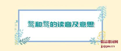 �����ͺ���Ķ�������˼