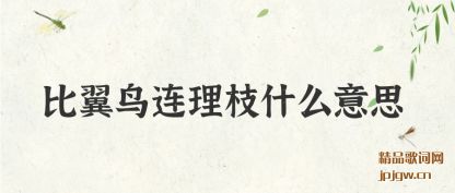 �������������֦ʲô��˼