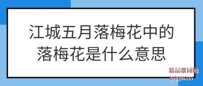 ֪������������÷���е���÷����ʲô��˼