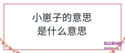 ����С���ӵ���˼��ʲô��˼