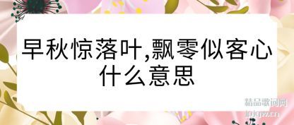 ˵˵���ﾪ��Ҷ,Ʈ���ƿ���ʲô��˼