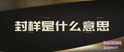 ��������ʲô��˼