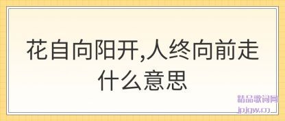 ��������������,������ǰ��ʲô��˼