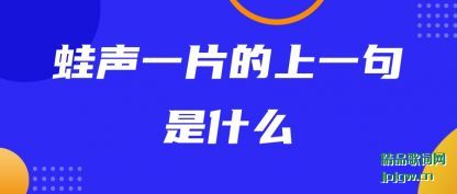 ��������һƬ����һ����ʲô