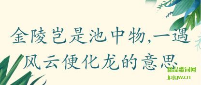 ֪���������ǳ�����,һ�����Ʊ㻯������˼