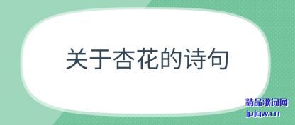 ̸�۹����ӻ���ʫ��