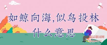 �����羨��,����Ͷ��ʲô��˼