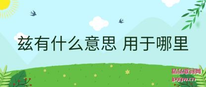 �������ʲô��˼ ��������