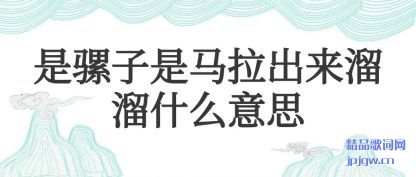 �����������������������ʲô��˼