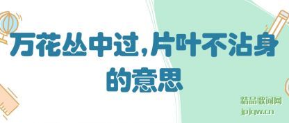 ����򻨴��й�,ƬҶ��մ������˼