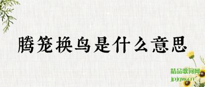 ��������������ʲô��˼