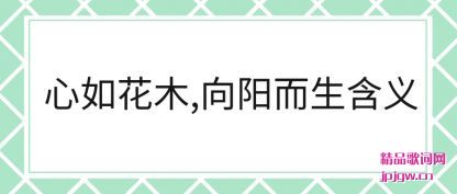 �������绨ľ,������������