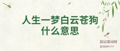 �������һ�ΰ��ƲԹ�ʲô��˼