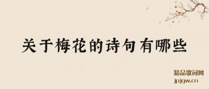 ������÷����ʫ������Щ