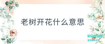 ������������ʲô��˼