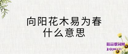 ����������ľ��Ϊ��ʲô��˼