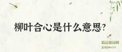 ������Ҷ������ʲô��˼?