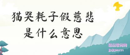 ����è�޺��Ӽٴȱ���ʲô��˼