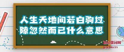 ����������ؼ����׾Թ�϶��Ȼ����ʲô��˼