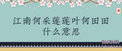 ���ڽ��Ϻβ�����Ҷ������ʲô��˼