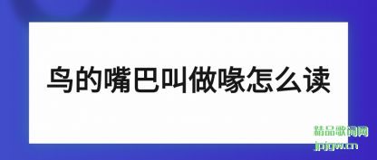 ���������ͽ������ô��