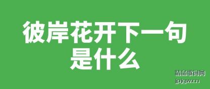 ���˰�������һ����ʲô