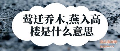 ���ݺǨ��ľ,�����¥��ʲô��˼