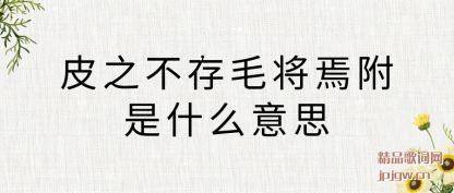 ����Ƥ֮����ë���ɸ���ʲô��˼