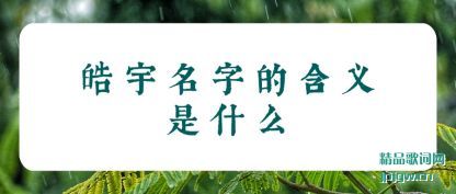 ��˵������ֵĺ�����ʲô