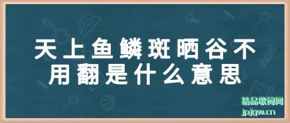 ̸���������۰�ɹ�Ȳ��÷���ʲô��˼