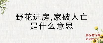 �ܽ�Ұ������,����������ʲô��˼