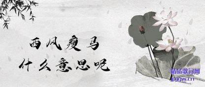 ������������ʲô��˼��