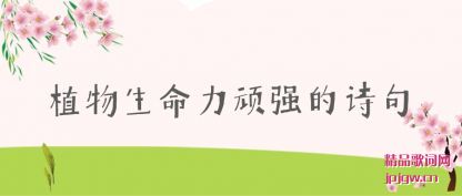 ���ֲ����������ǿ��ʫ��