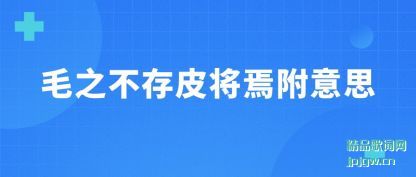 ����ë֮����Ƥ���ɸ���˼