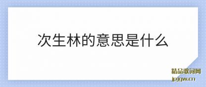 ���ܴ����ֵ���˼��ʲô