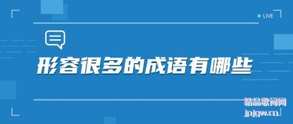 ��ʶ���ݺܶ�ĳ�������Щ