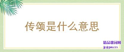 ���⴫����ʲô��˼