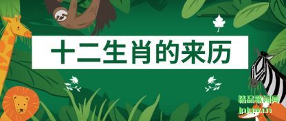 ̸��ʮ����Ф������