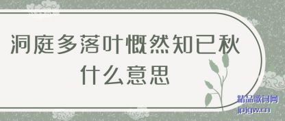 ���ⶴͥ����Ҷ��Ȼ֪����ʲô��˼