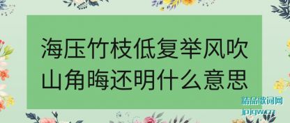 �����ѹ��֦�͸��ٷ紵ɽ�ǻ޻���ʲô��˼