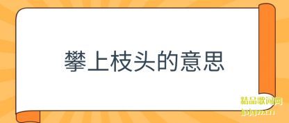 ��������֦ͷ����˼