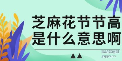 ̸��֥�黨�ڽڸ���ʲô��˼��