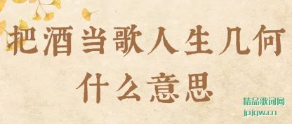 ����ѾƵ�����������ʲô��˼