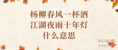 �����������һ���ƽ���ҹ��ʮ���ʲô��˼